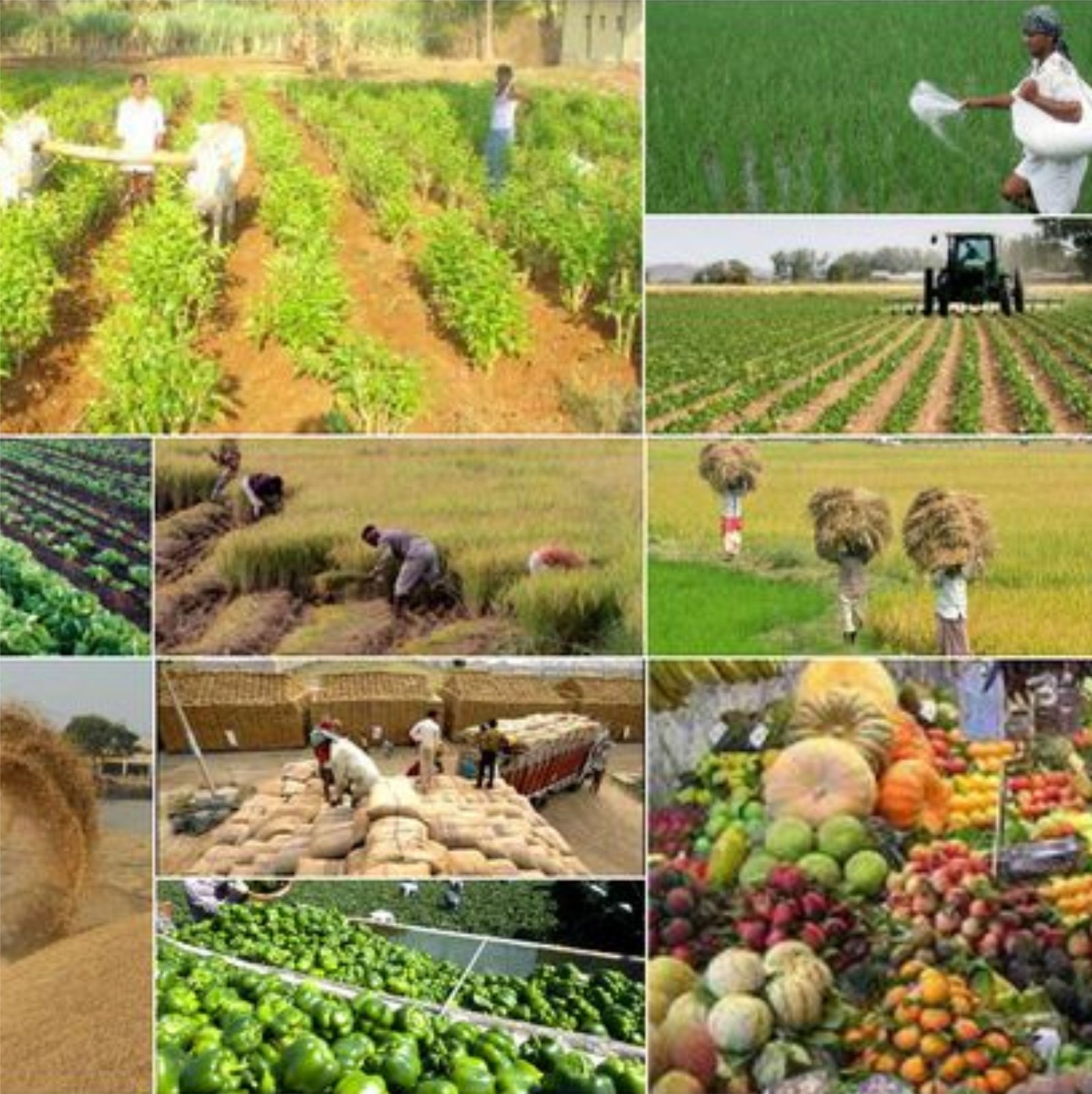 Agri Care